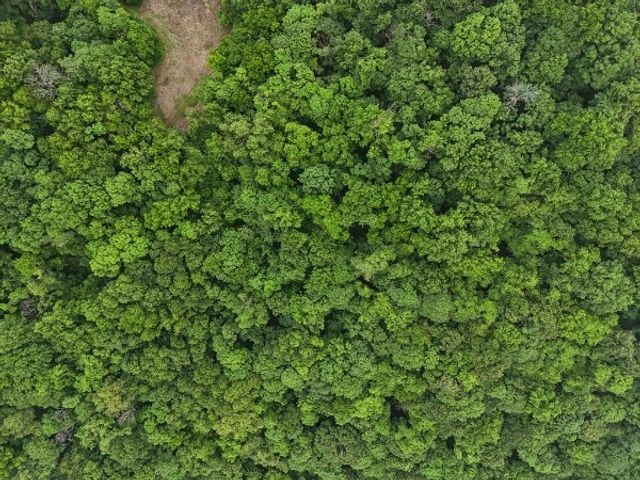 0 Hix Road, Gordonsville, TN 38563