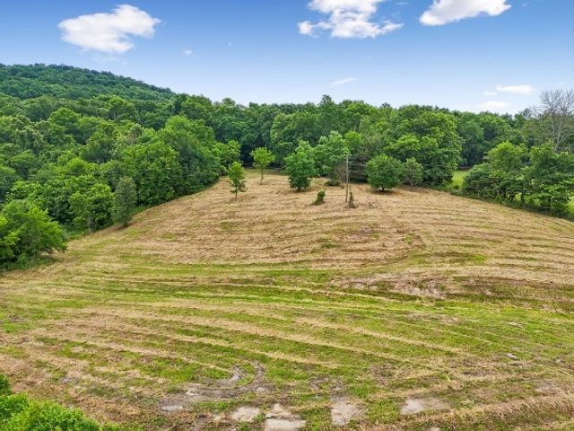 0 Hix Road, Gordonsville, TN 38563