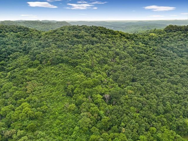 0 Hix Road, Gordonsville, TN 38563