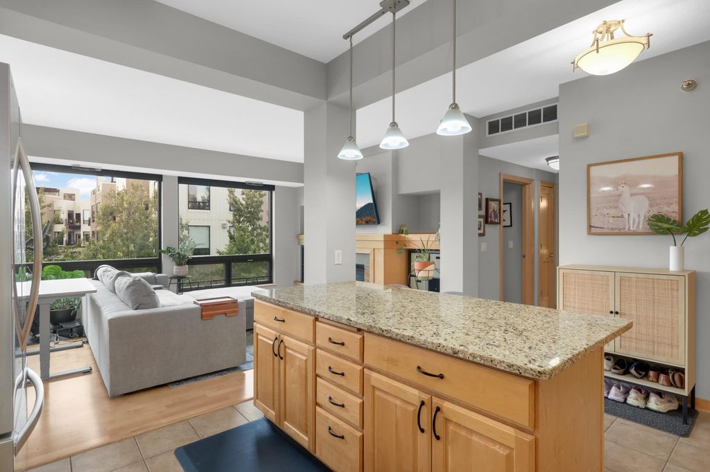 284 Spring Street 307, Saint Paul, MN 55102 — photo 3