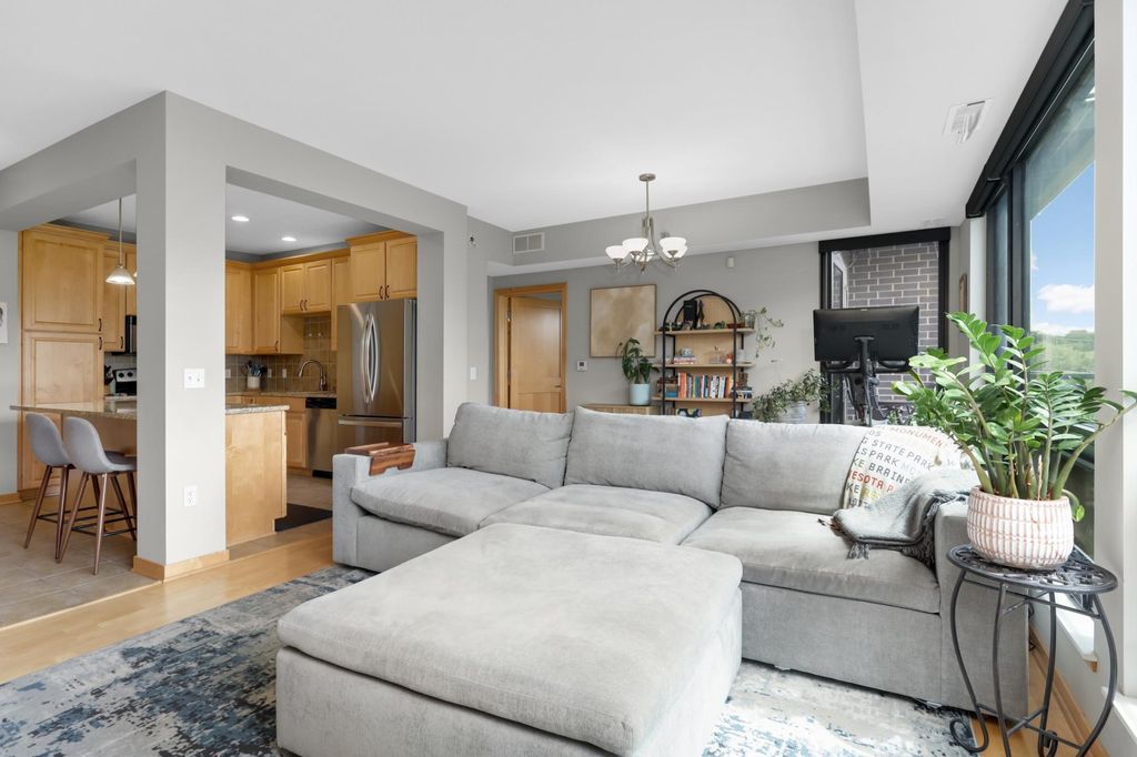 284 Spring Street 307, Saint Paul, MN 55102 — photo 5