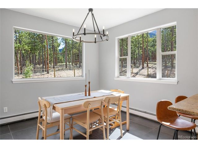 16500 Pine Grove Pkwy, Buena Vista, CO 81211