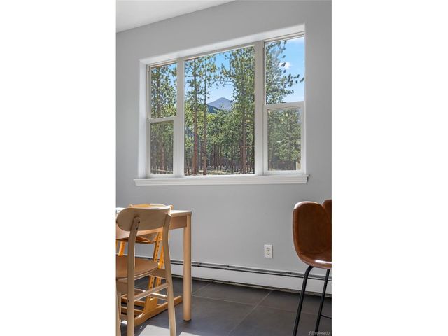 16500 Pine Grove Pkwy, Buena Vista, CO 81211