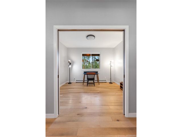 16500 Pine Grove Pkwy, Buena Vista, CO 81211