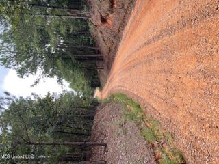 1501 Mooney Road, Carthage, MS 39051