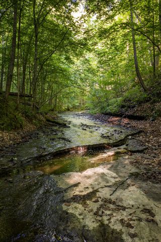 307 Frey St, Ashland City, TN 37015