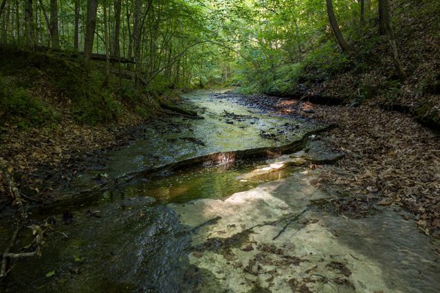 307 Frey St, Ashland City, TN 37015