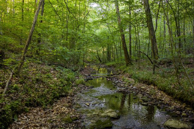 307 Frey St, Ashland City, TN 37015