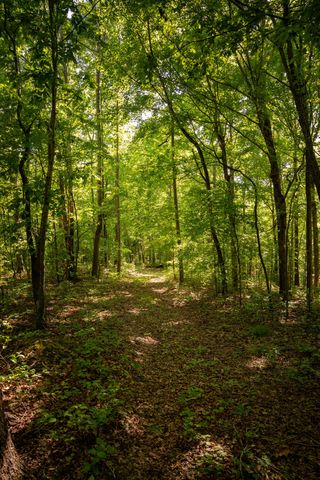 307 Frey St, Ashland City, TN 37015