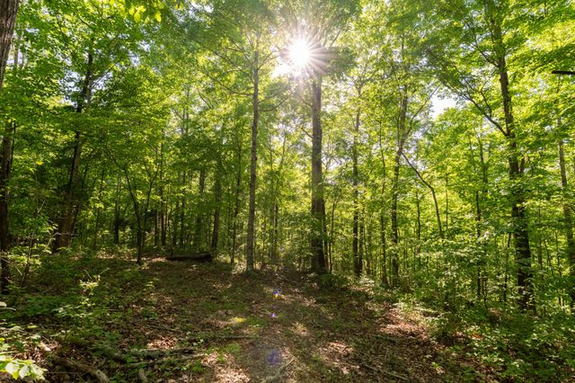 307 Frey St, Ashland City, TN 37015