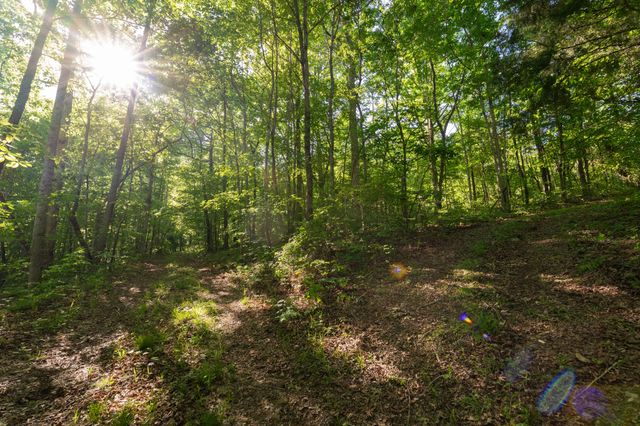 307 Frey St, Ashland City, TN 37015