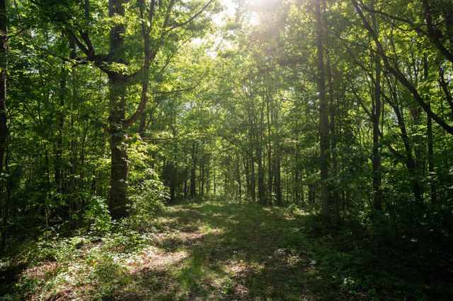 307 Frey St, Ashland City, TN 37015