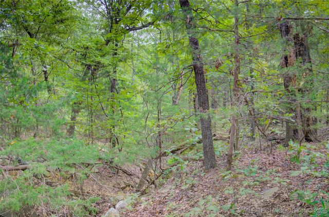 620 S Bird Dog Way, Cleveland, OK 74020