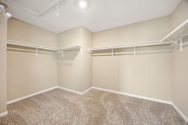 14626 Lofty Cedar Drive, Houston, TX 77068
