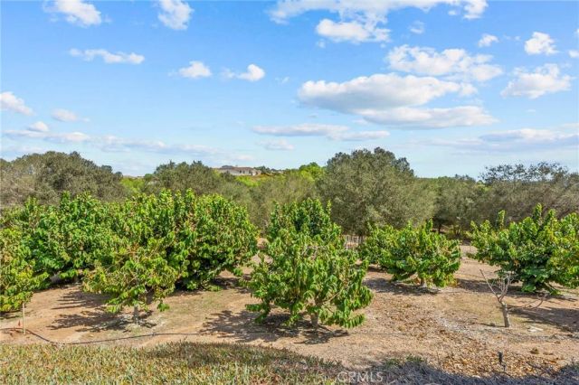 349 Puerta De Lomas, Fallbrook, CA 92028