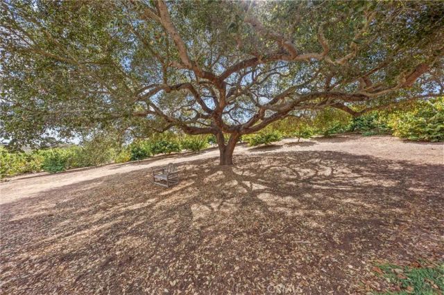349 Puerta De Lomas, Fallbrook, CA 92028