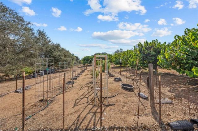 349 Puerta De Lomas, Fallbrook, CA 92028
