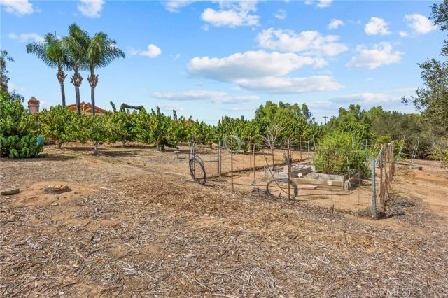 349 Puerta De Lomas, Fallbrook, CA 92028