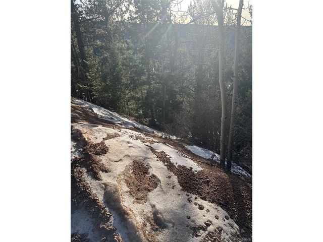 1600 Pikes Peak Dr, Divide, CO 80814