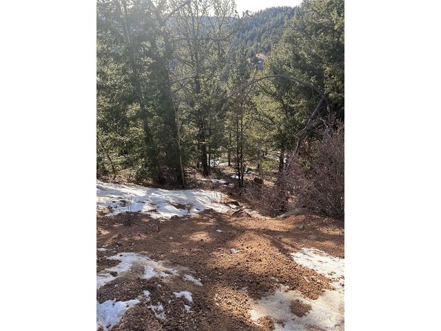 1600 Pikes Peak Dr, Divide, CO 80814