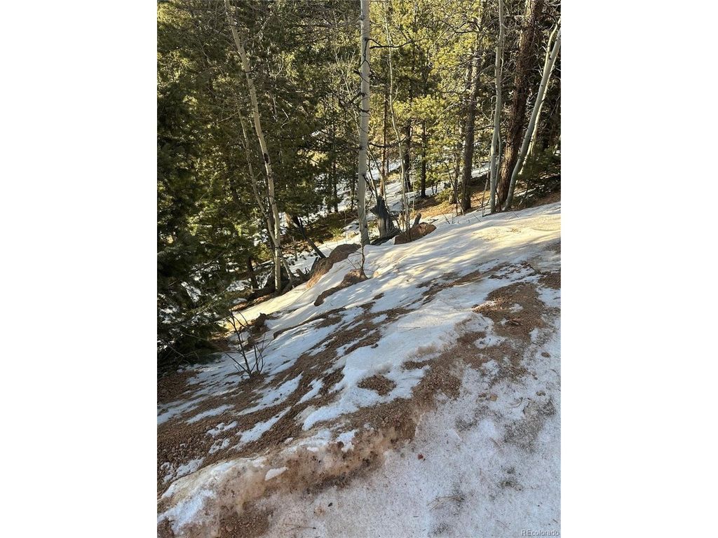 1600 Pikes Peak Dr, Divide, CO 80814