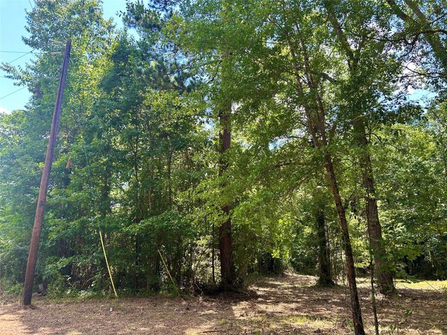 50 G Jock Street, Livingston, TX 77351