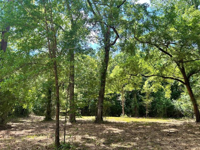 50 G Jock Street, Livingston, TX 77351