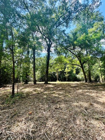 50 G Jock Street, Livingston, TX 77351