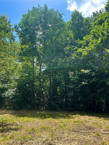 50 G Jock Street, Livingston, TX 77351