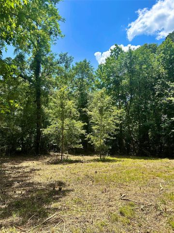 50 G Jock Street, Livingston, TX 77351