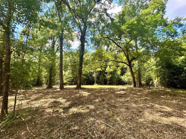 50 G Jock Street, Livingston, TX 77351