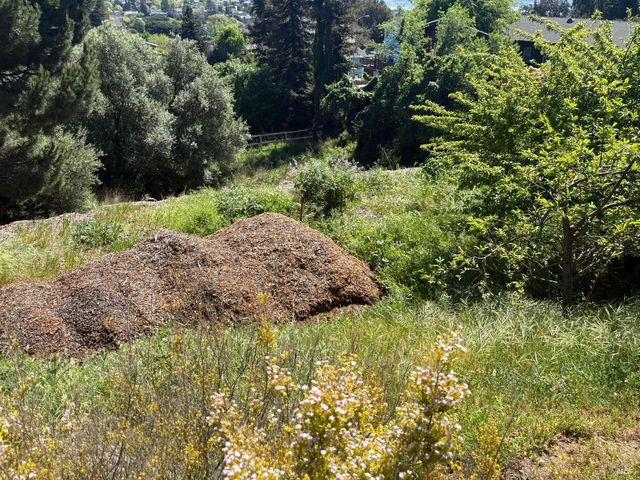 128 W Seaview Dr, Benicia, CA 94510