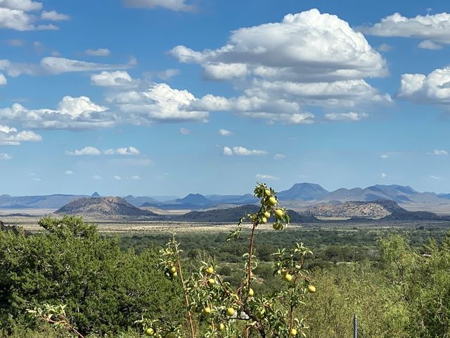 100 N Canyon Rd., Fort Davis, TX 79734