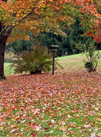 504 Greens Creek Road, Sylva, NC 28779