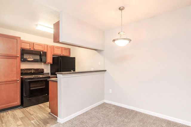 1300 Wilcrest Drive 509, Houston, TX 77042