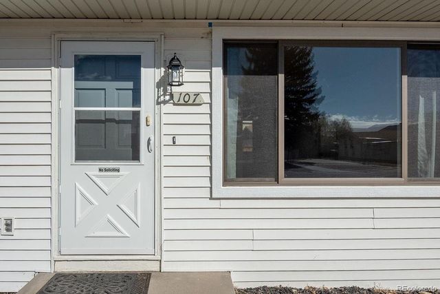 107 Dartmouth Drive, Buena Vista, CO 81211