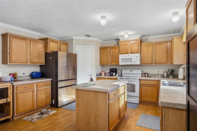 16564 NW 85TH TERRACE, Fanning Springs, FL 32693