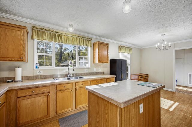 16564 NW 85TH TERRACE, Fanning Springs, FL 32693