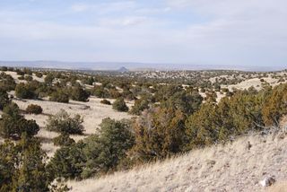 Lot 57 Pinon Springs Ranch, Magdalena, NM 87825