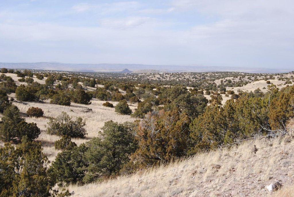 Image 1 of property listing at Lot 57 Pinon Springs Ranch, Magdalena, NM 87825