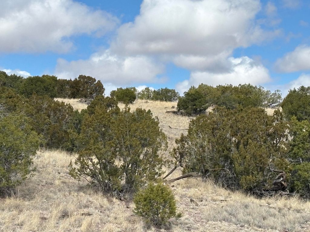 Image 10 of property listing at Lot 57 Pinon Springs Ranch, Magdalena, NM 87825