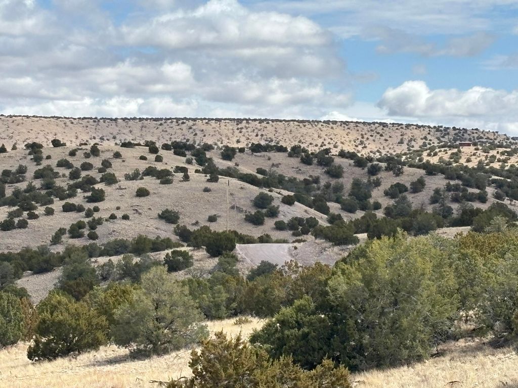 Image 3 of property listing at Lot 57 Pinon Springs Ranch, Magdalena, NM 87825