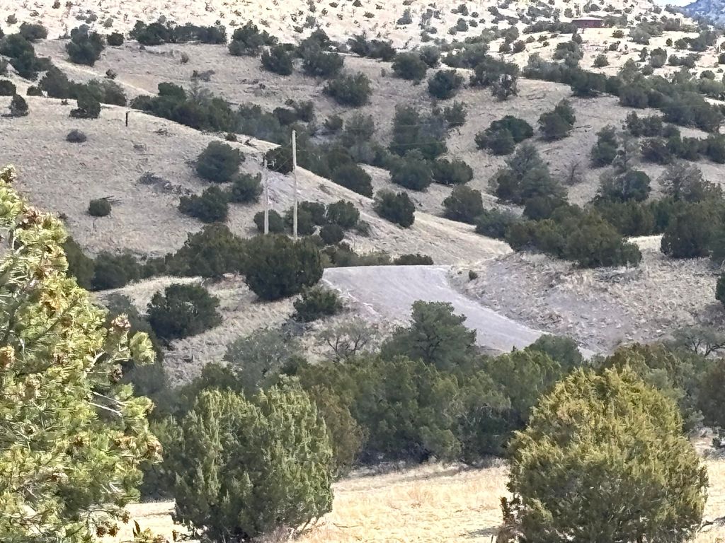 Image 4 of property listing at Lot 57 Pinon Springs Ranch, Magdalena, NM 87825
