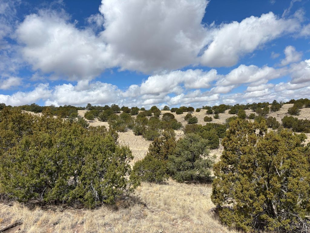 Image 6 of property listing at Lot 57 Pinon Springs Ranch, Magdalena, NM 87825
