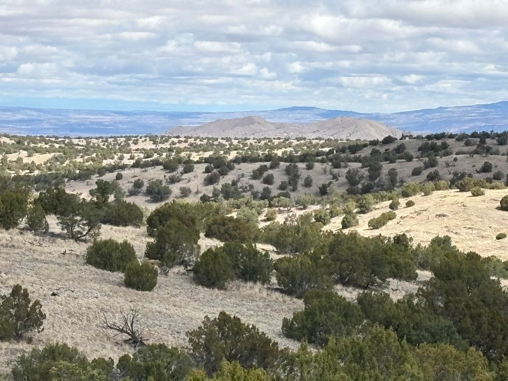 Image 7 of property listing at Lot 57 Pinon Springs Ranch, Magdalena, NM 87825