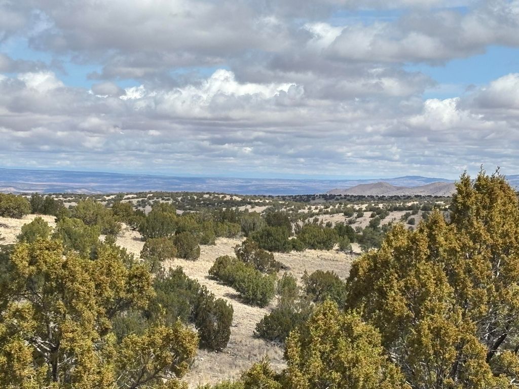 Image 8 of property listing at Lot 57 Pinon Springs Ranch, Magdalena, NM 87825
