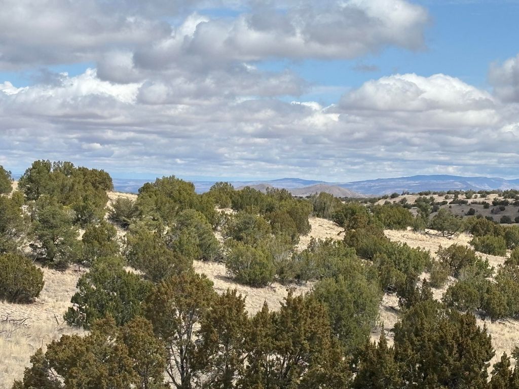 Image 9 of property listing at Lot 57 Pinon Springs Ranch, Magdalena, NM 87825
