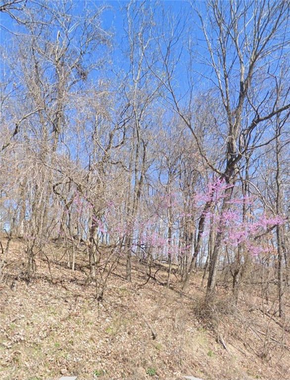 5.16 Acres Summit Drive, Holiday Island, AR 72631