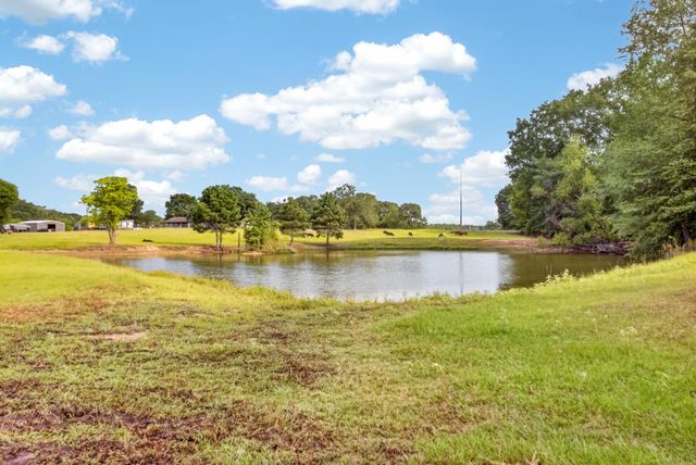 3690 FM 49, Gilmer, TX 75644