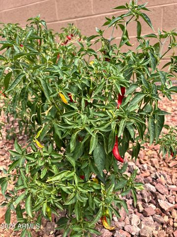 9321 W SELLS Drive, Phoenix, AZ 85037